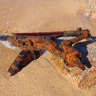 thumbnails/000-flotsam&jetsam1.jpg.small.jpeg