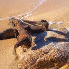 thumbnails/002-flotsam&jetsam3.jpg.small.jpeg